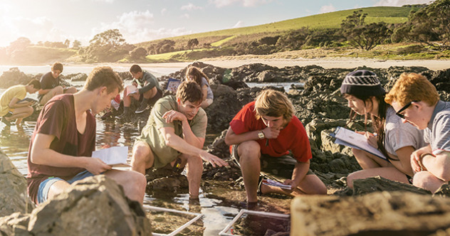 Learners exploring content of rock pools on water's edge